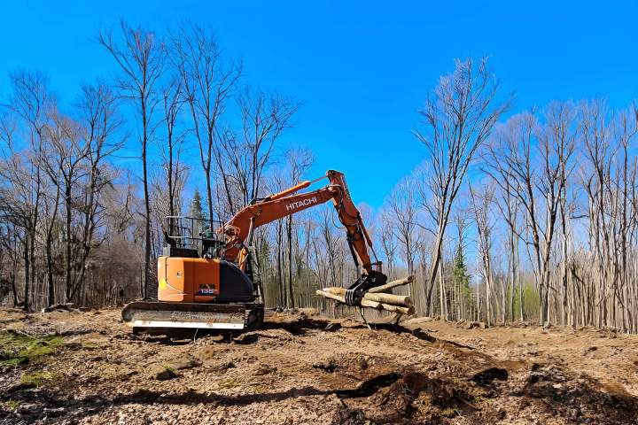 Firewood for Sale Haliburton