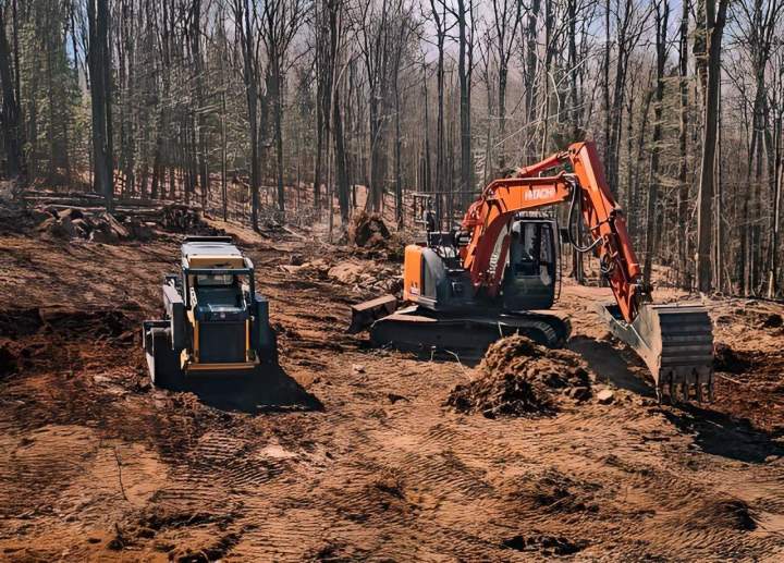 Lot Clearing Services Haliburton